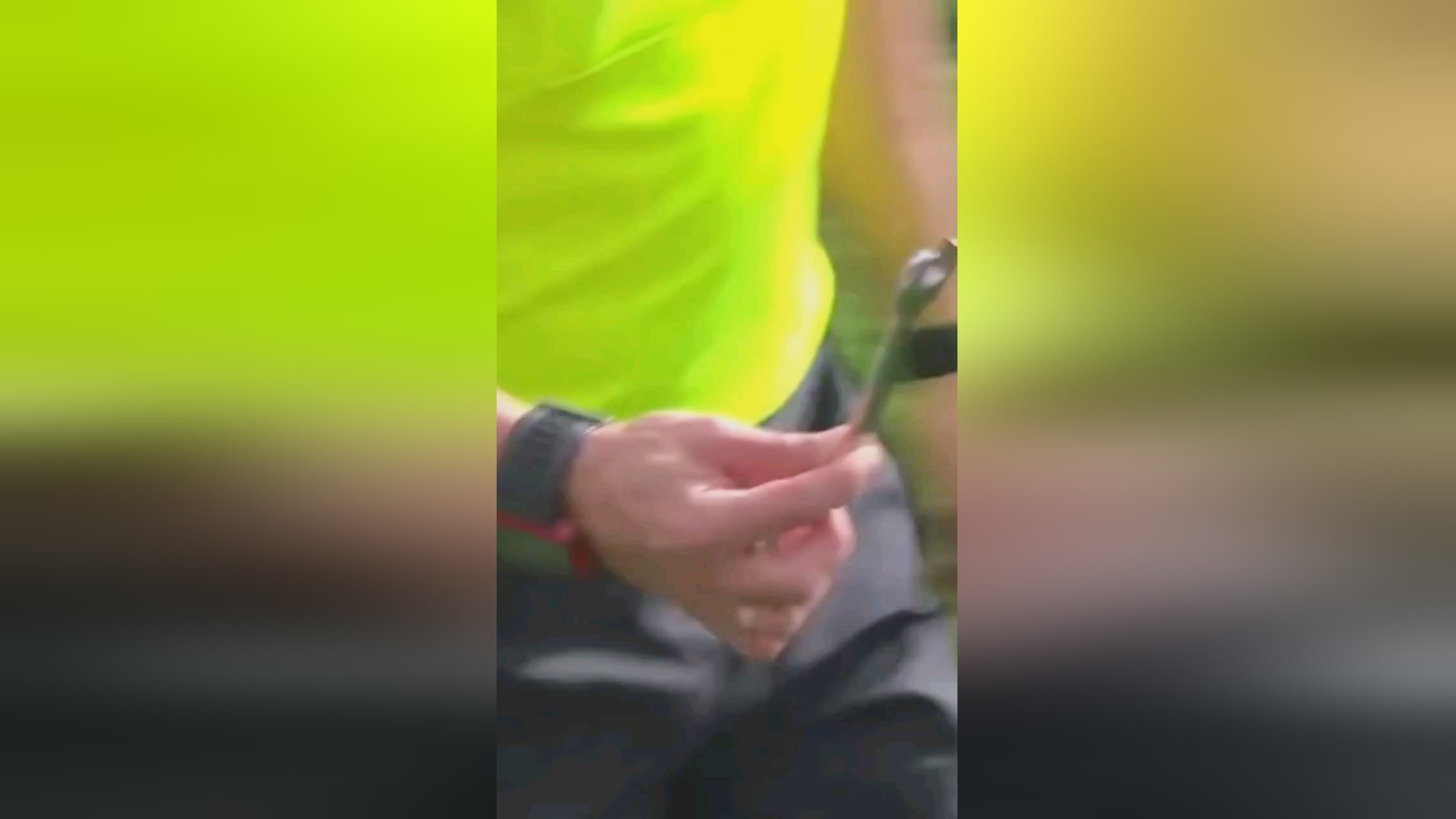 但显然